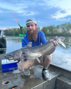 Fishing success with Captain Hauck!