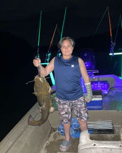 Fish-Species