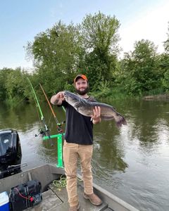 Fish-Species