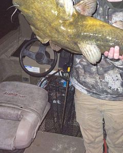 Fish-Species