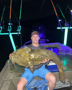 Fish-Species