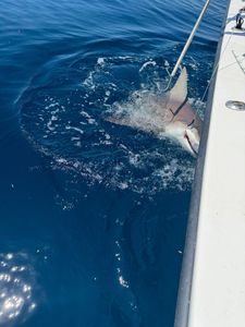 Fishing adventure in PA