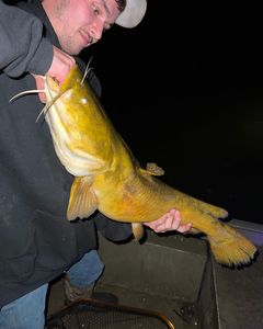 Two people fishing in Selinsgrove