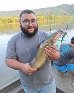 White Catfish caught while fishing in PA