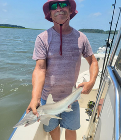 Angler fishing in SC
