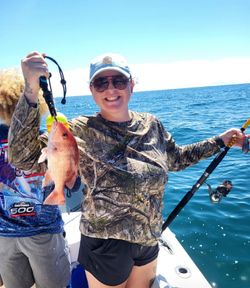 Angler fishing in South Carolina