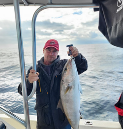 Greater Amberjack fish caught while fishing in SC