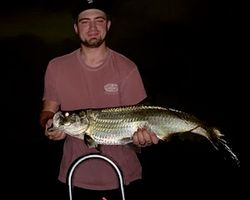 Explore shallow flats with a top-rated local guide