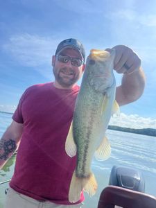 Experienced Angler Bass fishing in TN.