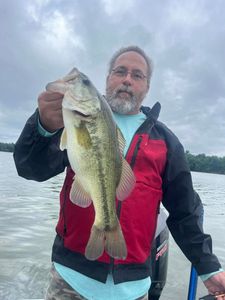 Prime Largemouth Bass fishing charters in TN.