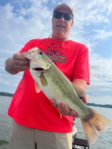 Top-tier Largemouth Bass fishing experience, TN.