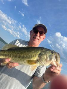Experienced local fishing Bass in Tennessee