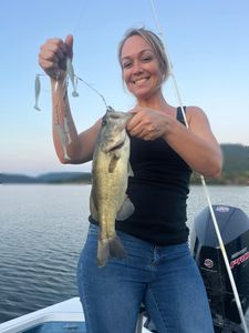 Beautiful view and bass catch on the lake in TN.