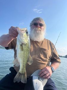 Experience Bass fishing like no other with us!