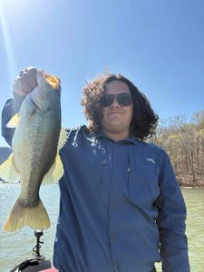 Trophy sized Bass catch, kept and made for dinner.