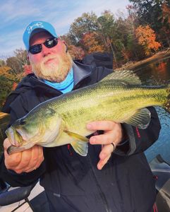 Lake Guntersville Fishing Guide