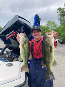 Guntersville Bass Fishing