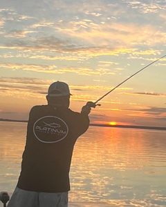 Best Tennessee Fishing Charters