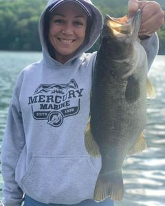 Tennessee Best Bass Fishing!