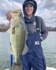 Chill and Have Fun: Fishing in Tennessee!