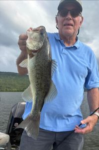 Largemouth bass caught while fishing in Chattanooga