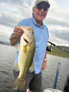 Largemouth bass caught while fishing in Chattanooga