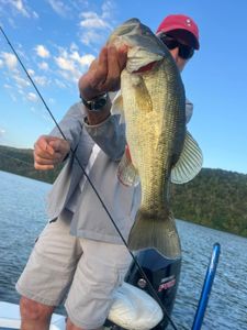 Largemouth Bass caught fishing in TN