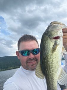 Largemouth bass caught fishing in TN