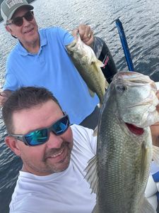 Two largemouth bass caught while fishing in Tennessee