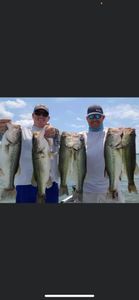Six largemouth bass caught while fishing in TN