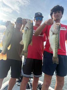 Three Florida Bass and Largemouth Bass caught in Chattanooga
