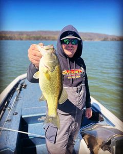 Massive Largemouth Bass caught fishing in Tennessee