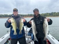 Largemouth Bass and Stripers Lake Texoma Fishing 