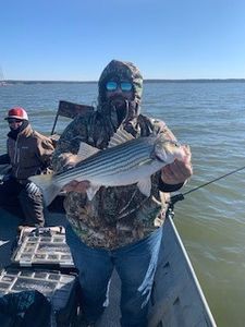 Striped Bass Fishing, Oklahoma