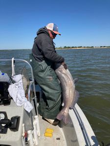 Fishing Bliss in Kingston's Waters