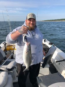 Texoma's Waves Whisper: Striped Bass