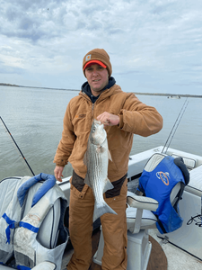 Catching Striped Bass in Lake Texoma