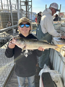 Texoma Tales: Striped Bass