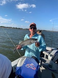 Striped Bass from Lake Texoma Fishing