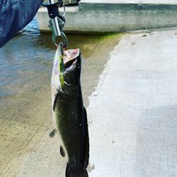 Hook your next big catch in the Everglades.
