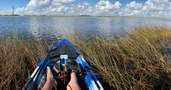 Kayak Adventures: Paddling Through Everglades 