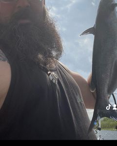 Experience the Everglades’ fishing excitement.