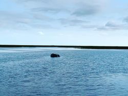 Serene Kayak Fishing Adventures