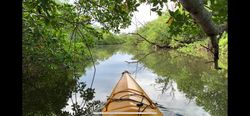 Adventure and relaxation in Everglades waters.