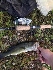 Backcountry Fishing Thrills