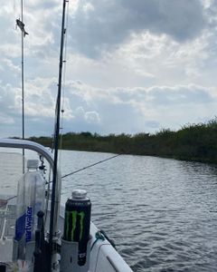 Chase big catches in the Everglades’ waterways.