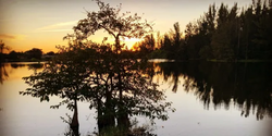 Explore Nature: Florida Eco Tours