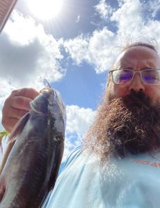 One angler fishing in FL