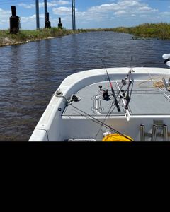 Fishing tour in FL