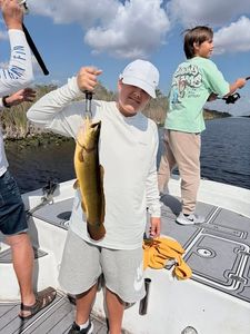 Bowfin fish caught during fishing trip in Weston FL